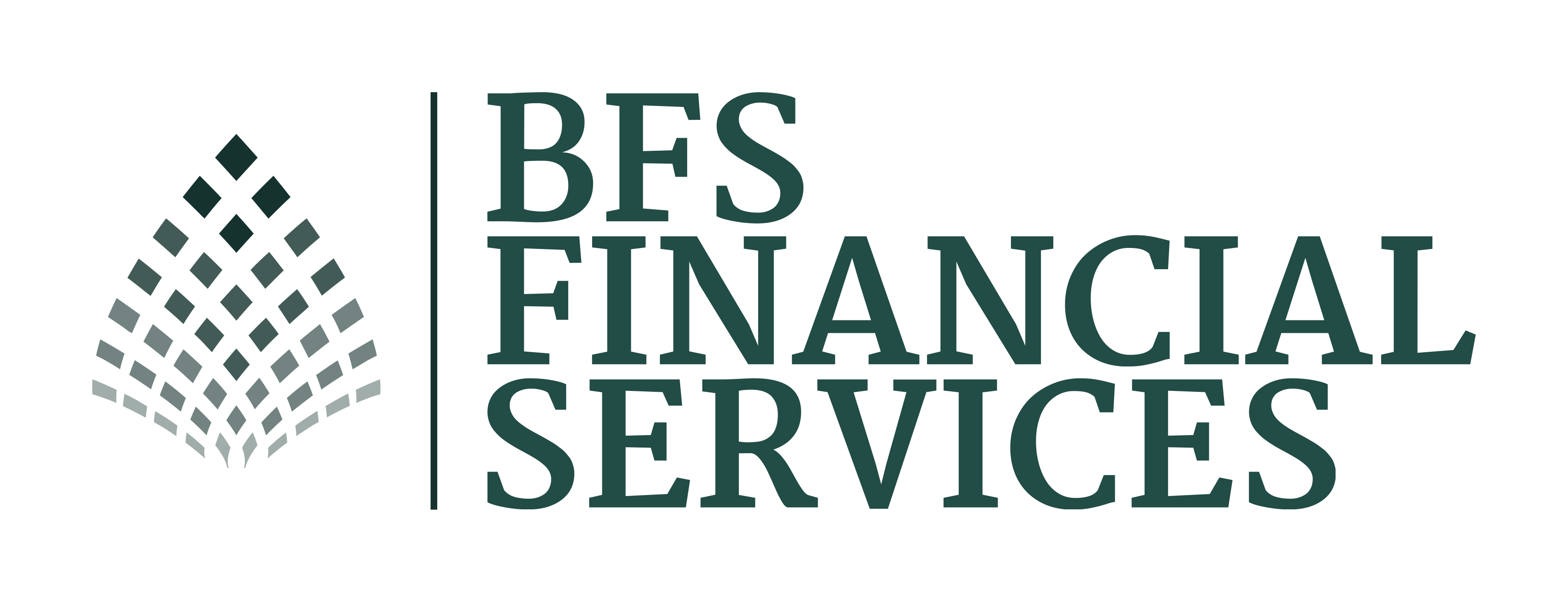 BFS Financial Services